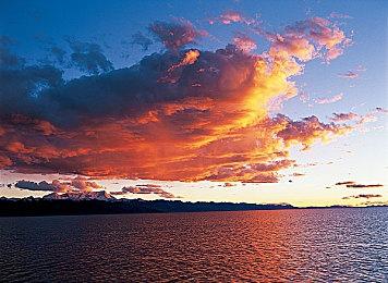 5月15日 steam发售《美女，应接不暇》：情感交互与AI完美结合